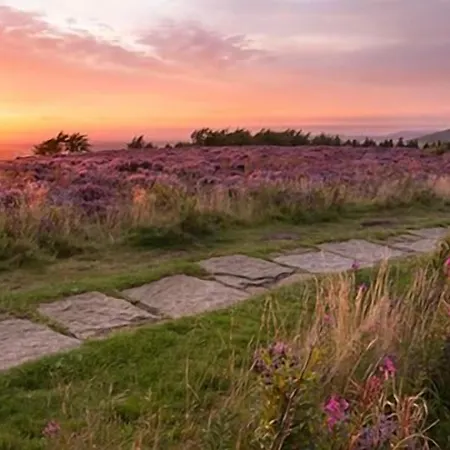 Estalagem The Fox & Hounds & Pods