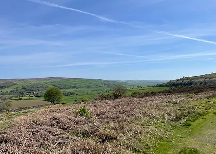 The Fox & Hounds & Pods