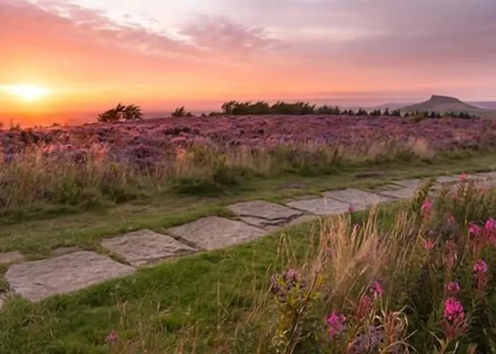 Mini-hôtel The Fox & Hounds & Pods