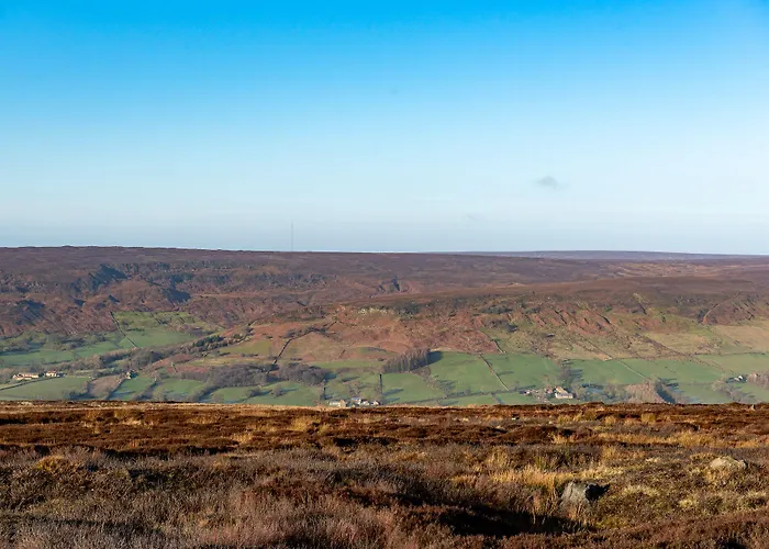 The Fox & Hounds & Pods 4*