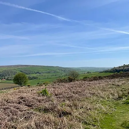 The Fox & Hounds & Pods